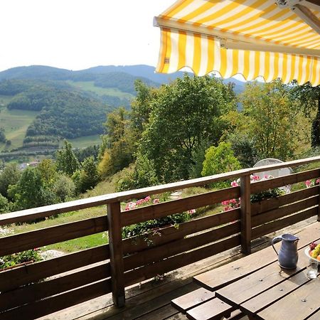 Chalet-Gite Berbuche Sainte-Croix-aux-Mines Exterior photo