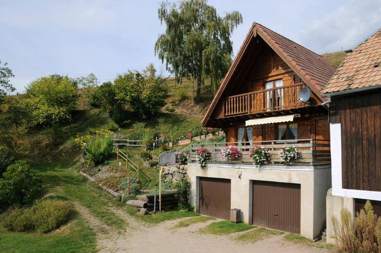 Chalet-Gite Berbuche Sainte-Croix-aux-Mines Exterior photo