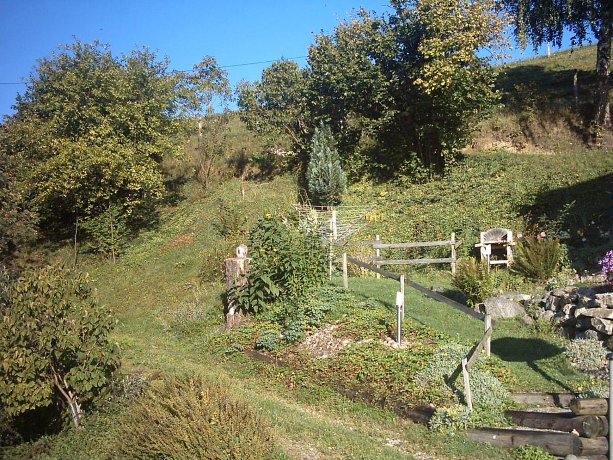 Chalet-Gite Berbuche Sainte-Croix-aux-Mines Exterior photo