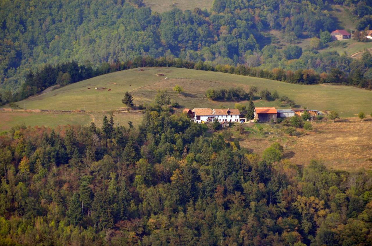 Chalet-Gite Berbuche Sainte-Croix-aux-Mines Exterior photo